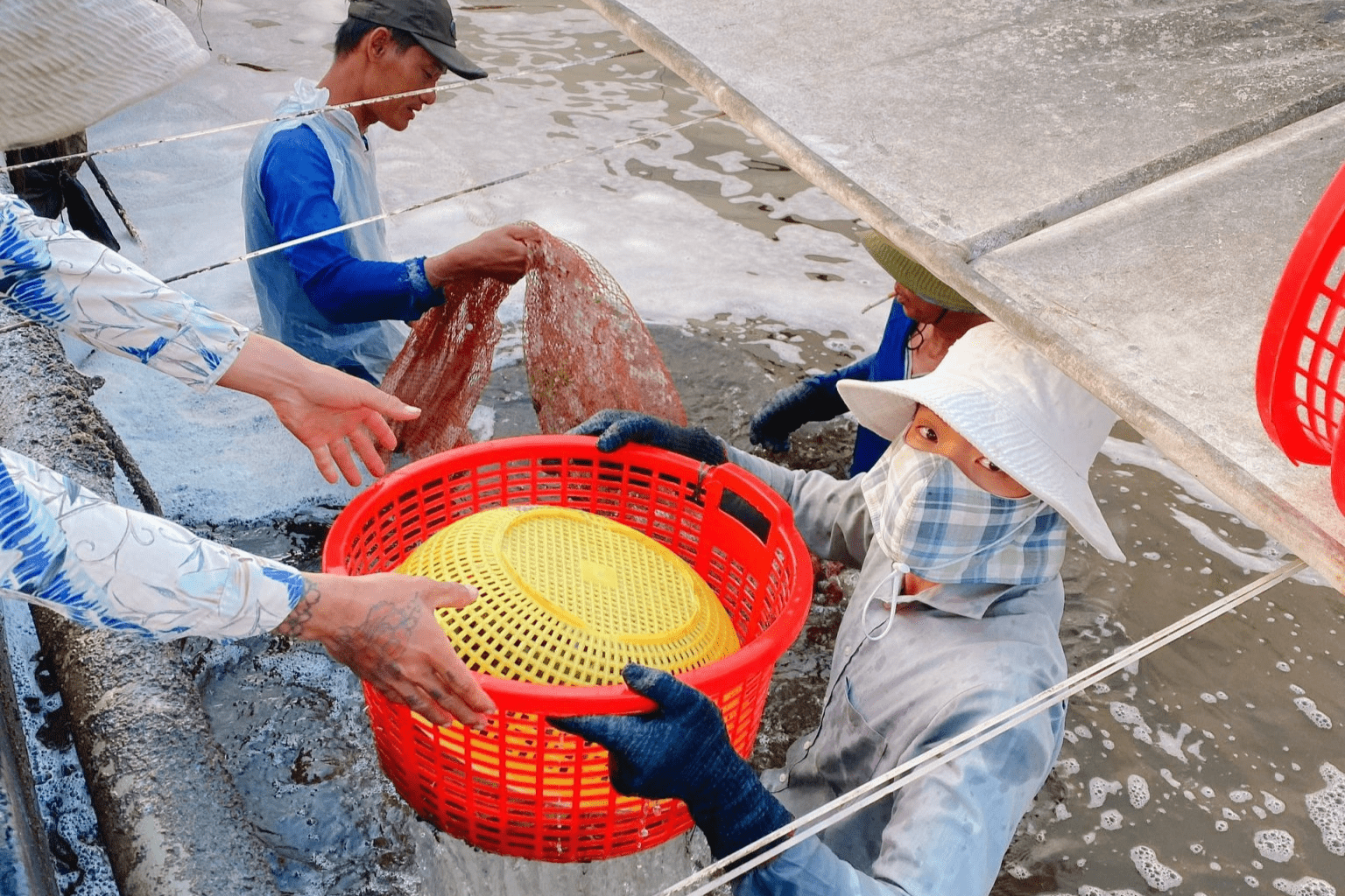 Cựu hoa hậu có thu nhập trên 100 triệu/ngày nói làm giàu không dễ - 3